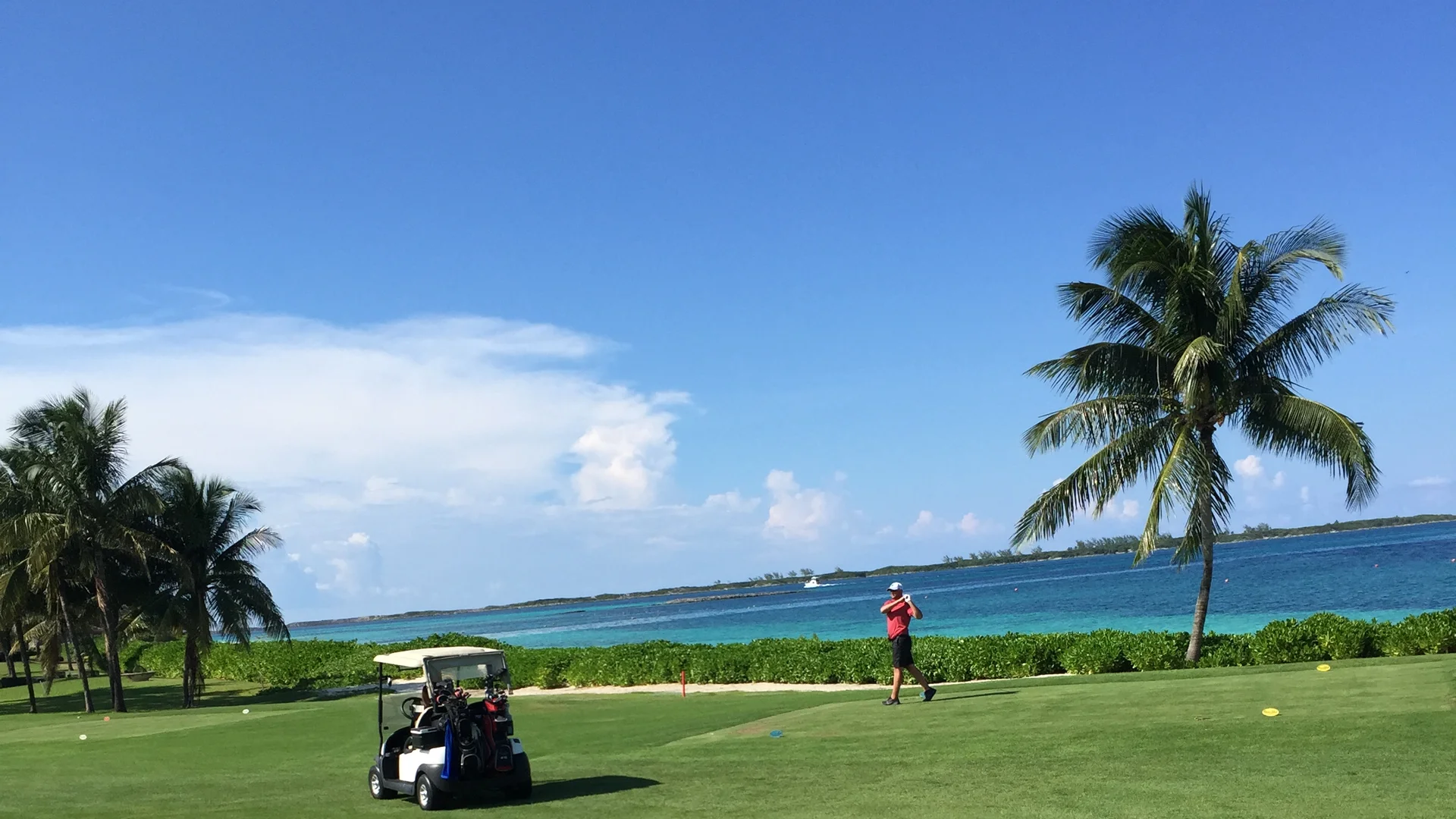 Golf course fairway lined with palm trees beside the sea in the Bahamas